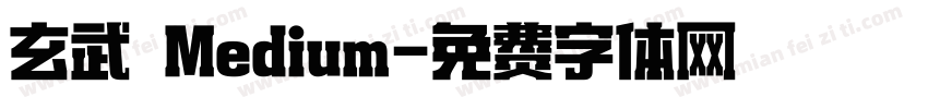 玄武 Medium字体转换